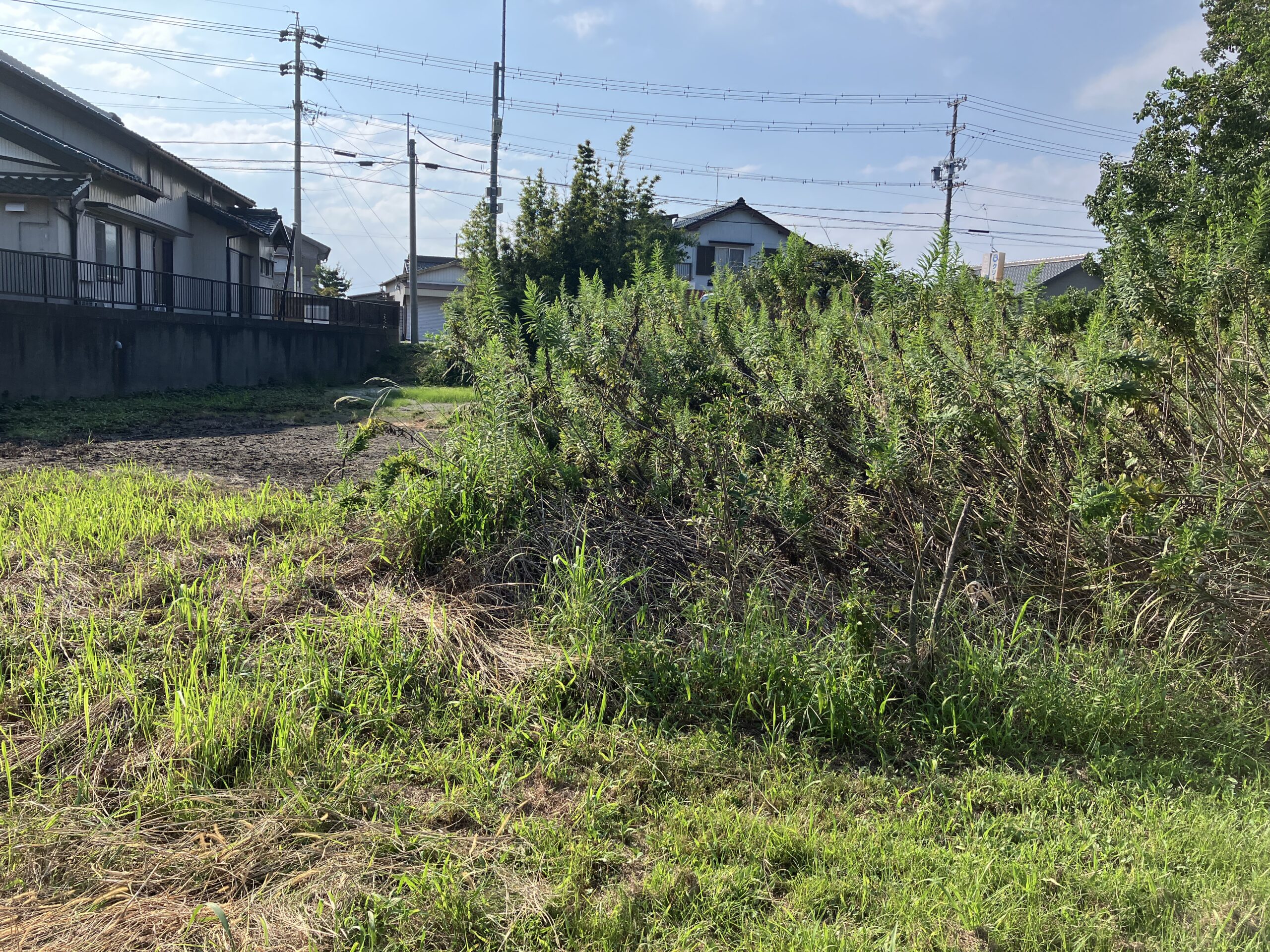 休耕地とは?耕作放棄地との違いや土地の再生方法や売却について解説します | 太陽光発電所・農地売却Platform