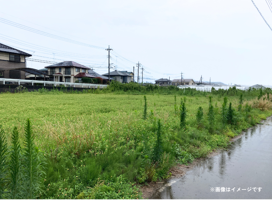 下野市の土地