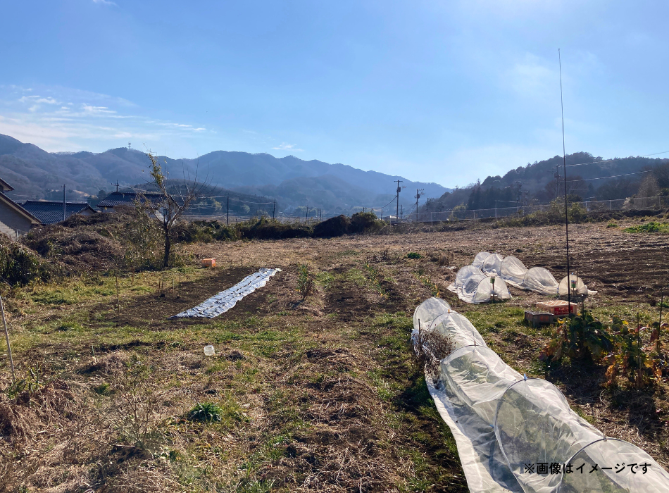 栃木県栃木市の土地取引事例と農地・山林・原野・雑種地の価格相場と売却相談の流れを解説