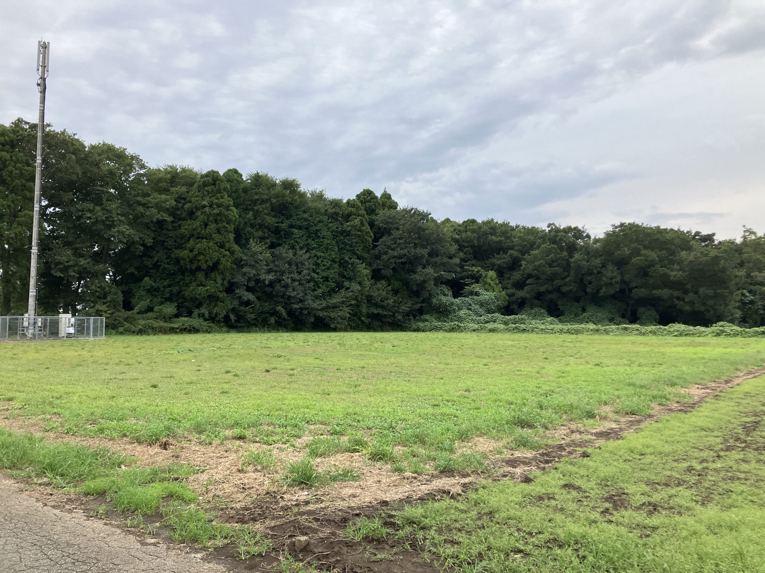 千葉県富里市の土地取引事例と農地・山林・原野・雑種地の価格相場と売却相談の流れを解説