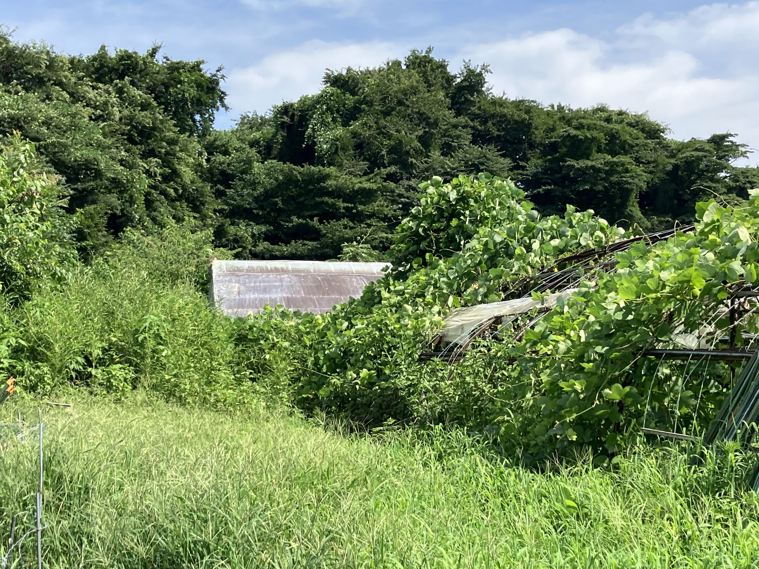 小山市の土地