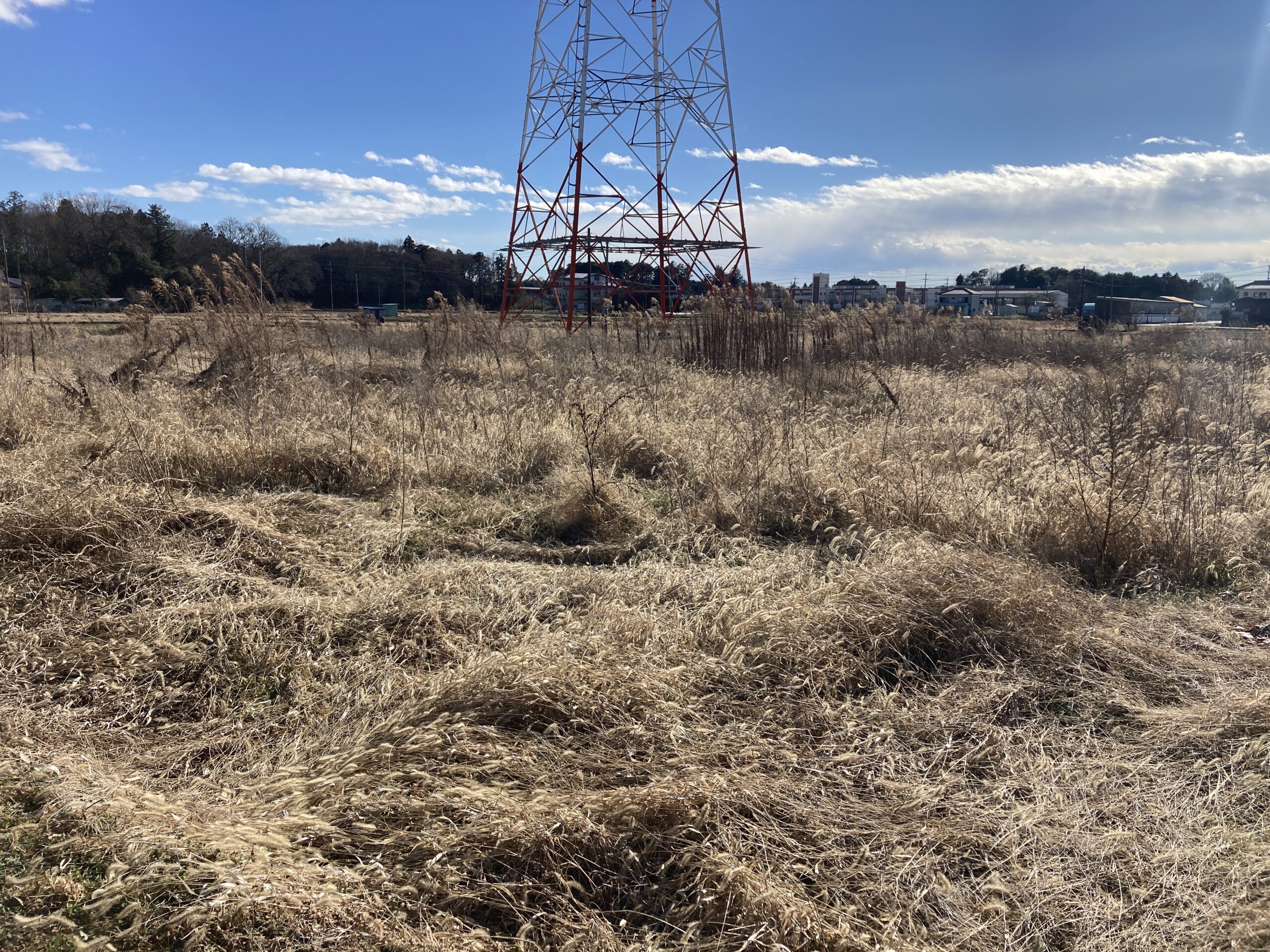 栃木県野木町の土地取引事例と農地・山林・原野・雑種地の価格相場と売却相談の流れを解説