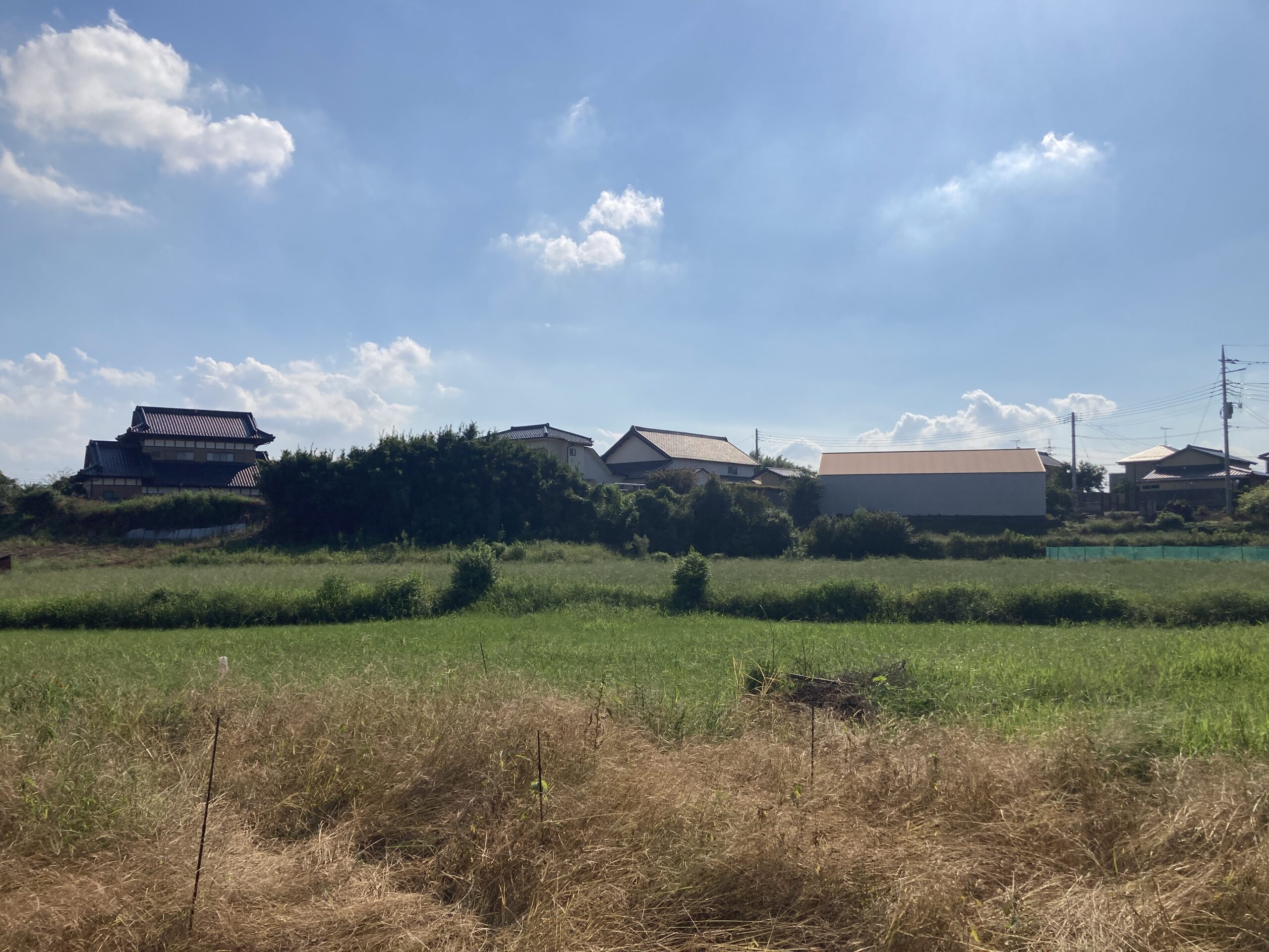 農地売買で失敗しない方法とは？農地法の規制から売却・活用方法まで詳しく解説