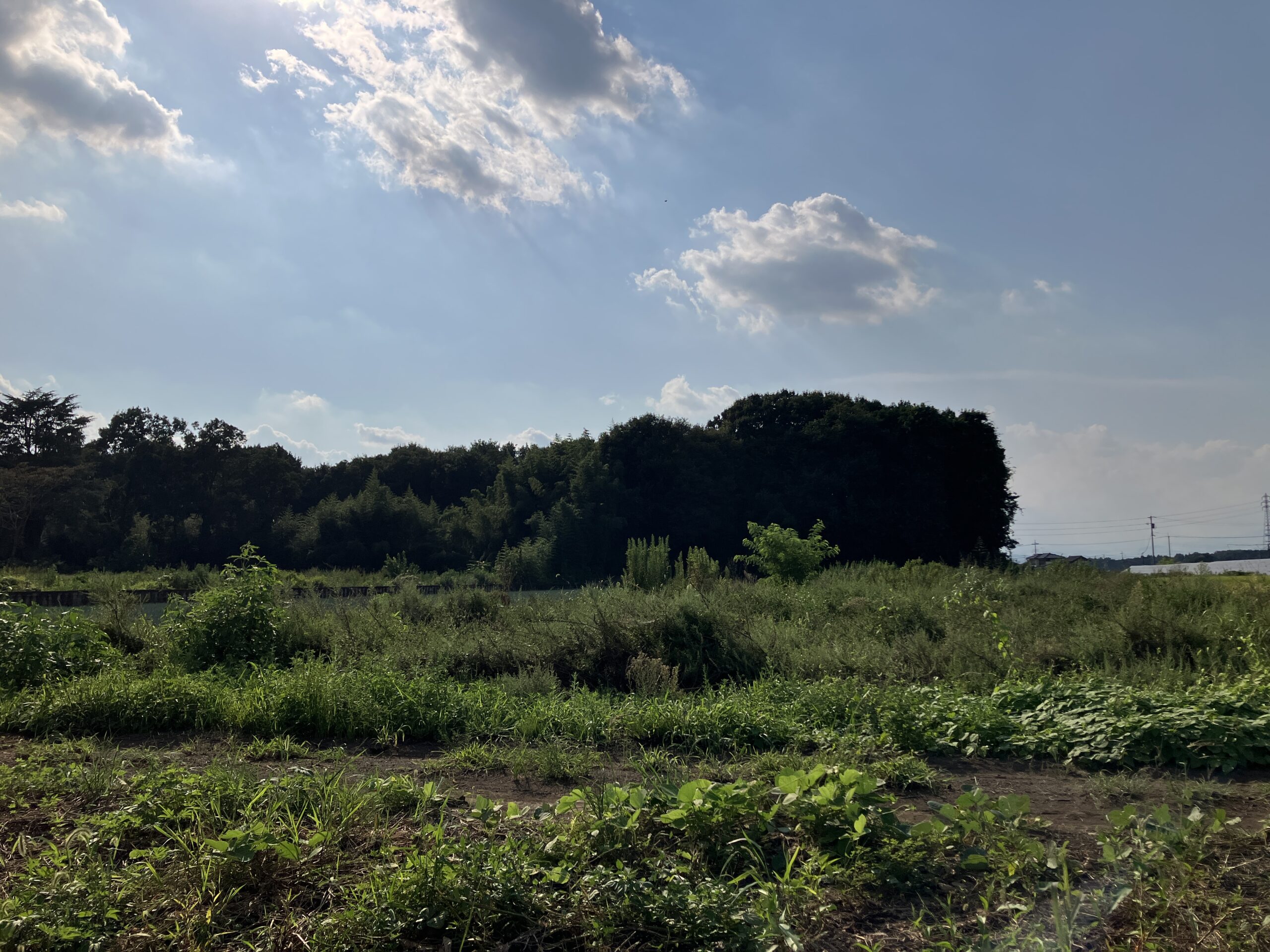 高根沢町の土地