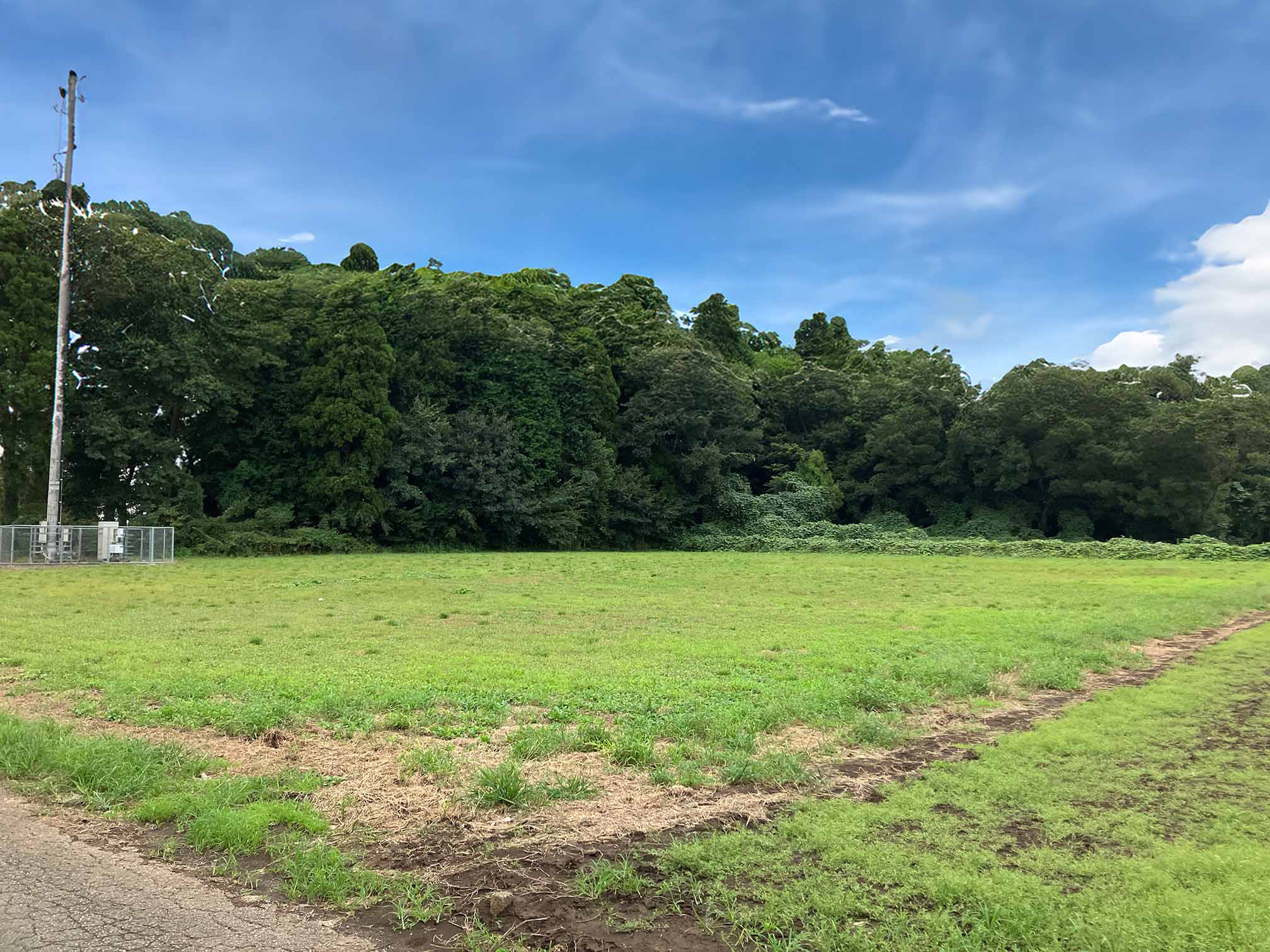 千葉県八街市の土地取引事例と農地・山林・原野・雑種地の価格相場と売却相談の流れを解説