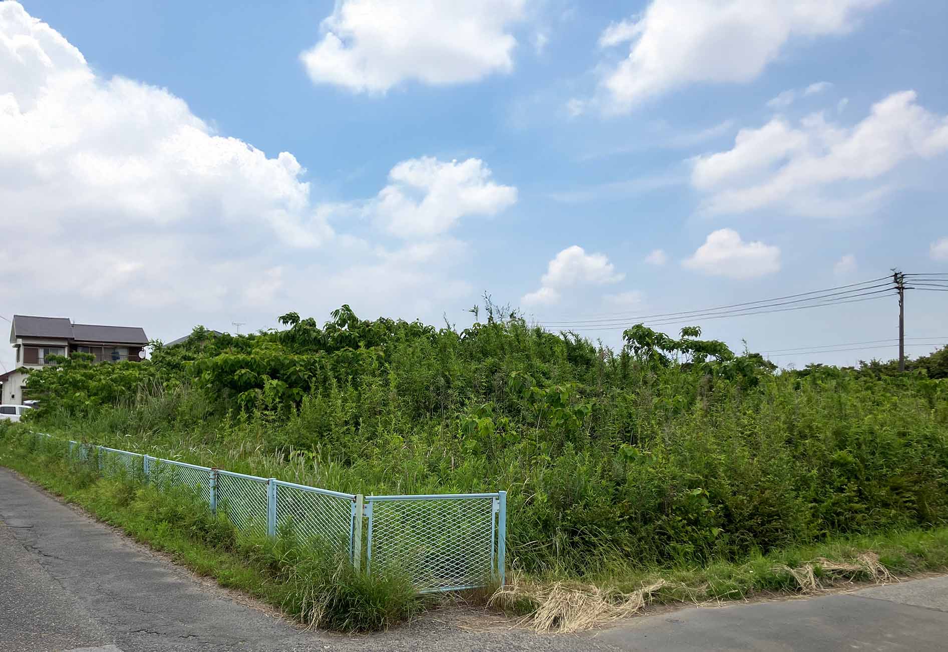 東金市の土地