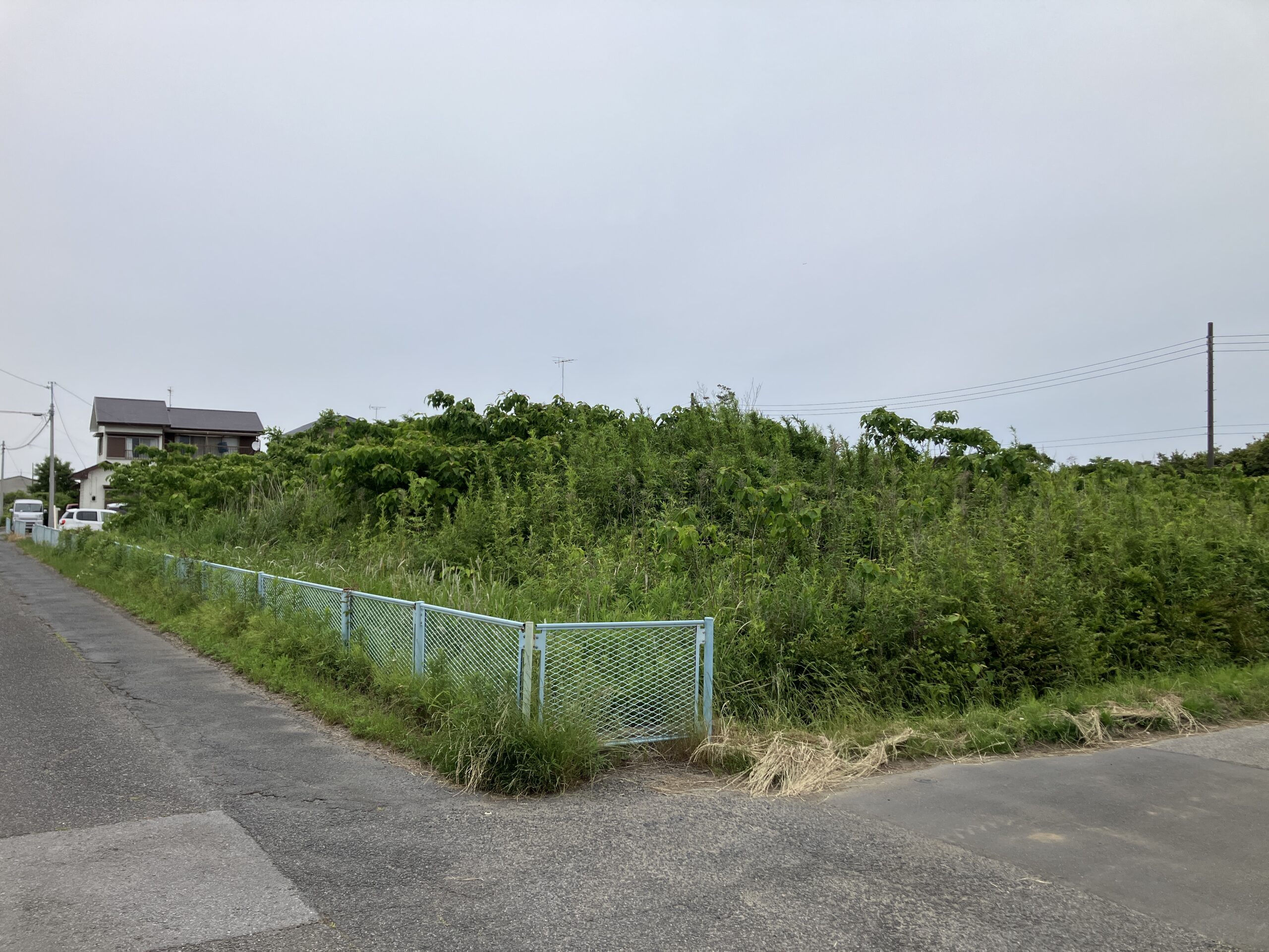 印西市の土地