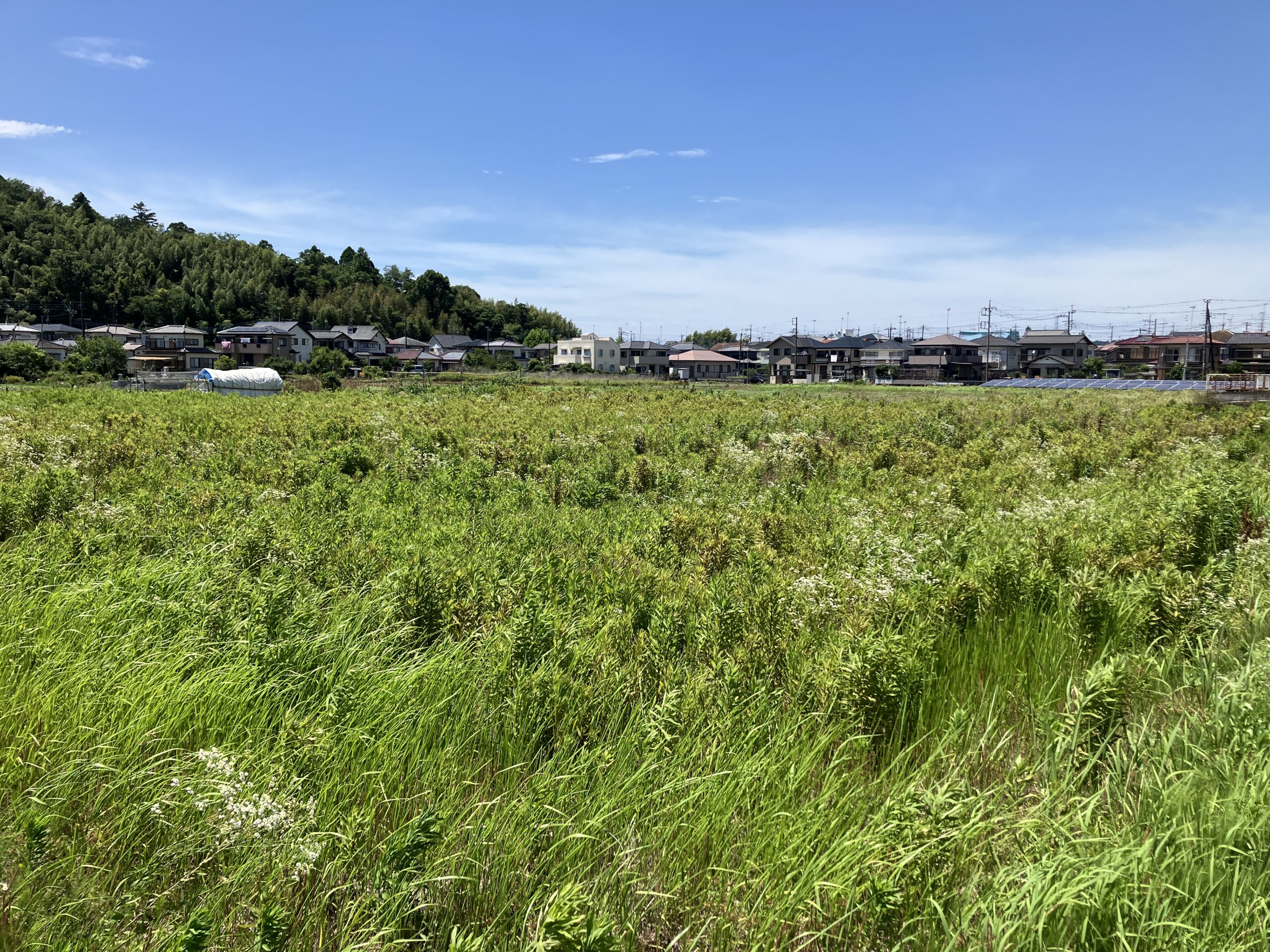 千葉県印西市の土地取引事例と農地・山林・原野・雑種地の価格相場と売却相談の流れを解説