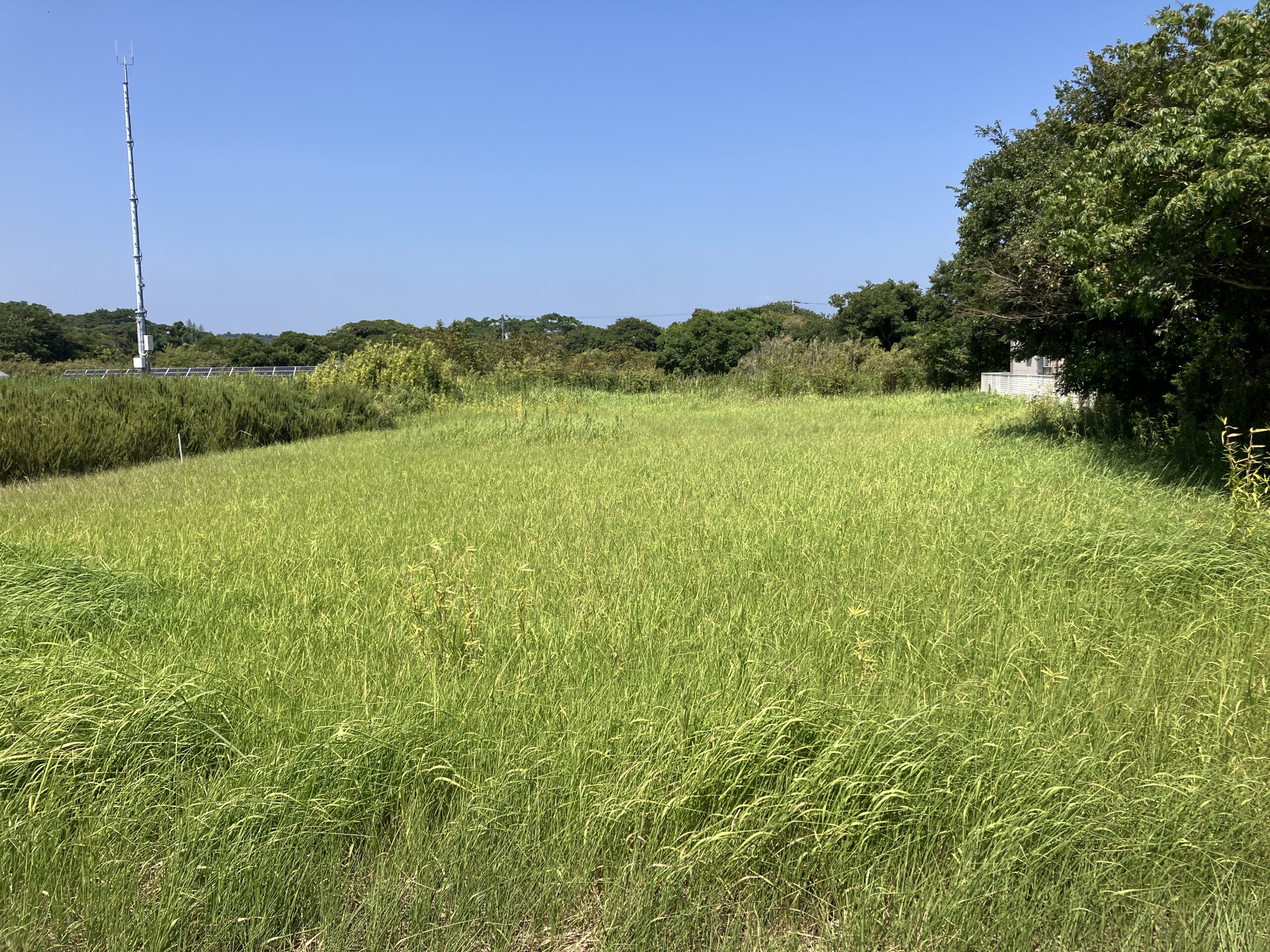 八街市の土地