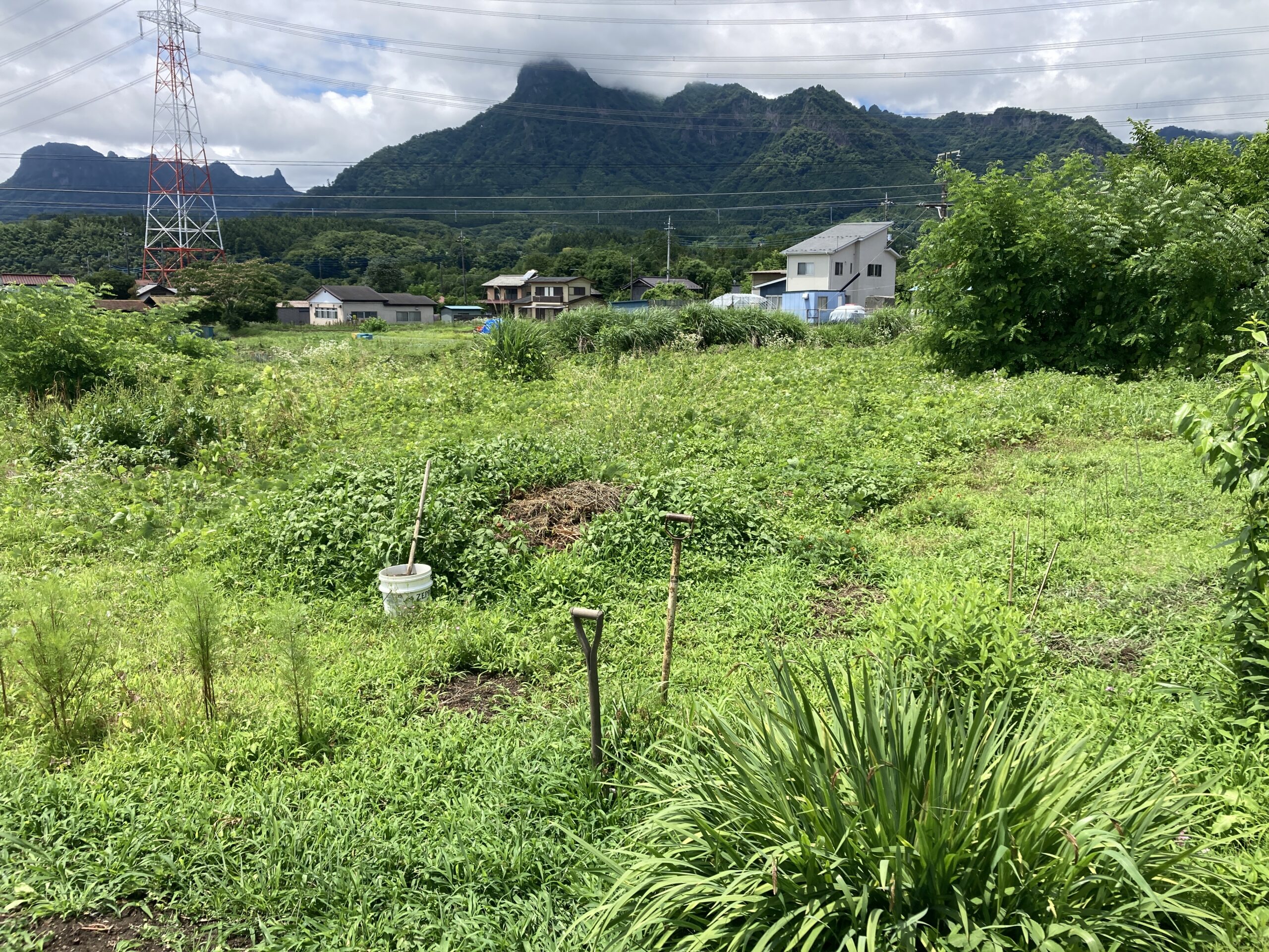 安中市の土地