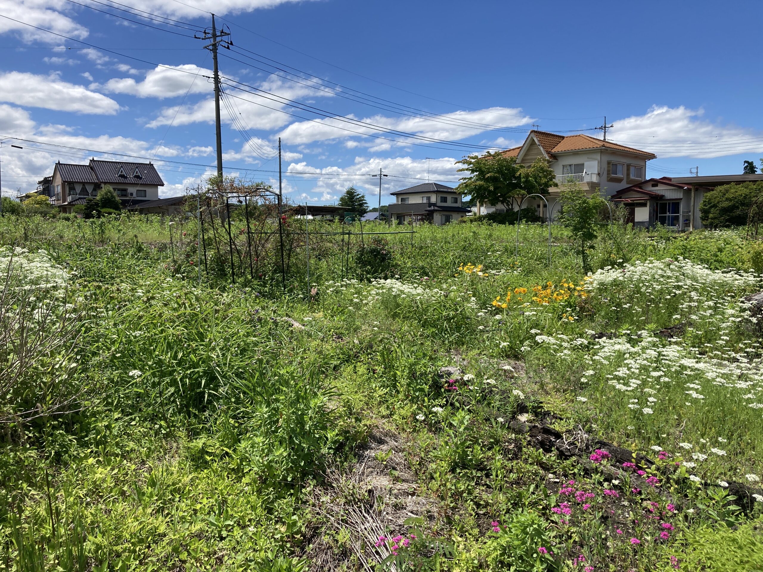 栃木県那須烏山市の土地取引事例と農地・山林・原野・雑種地の価格相場と売却相談の流れを解説