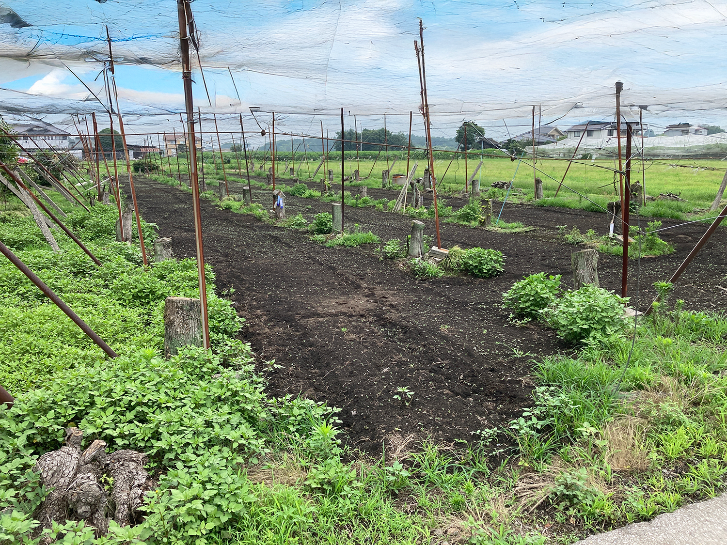 市貝町の土地