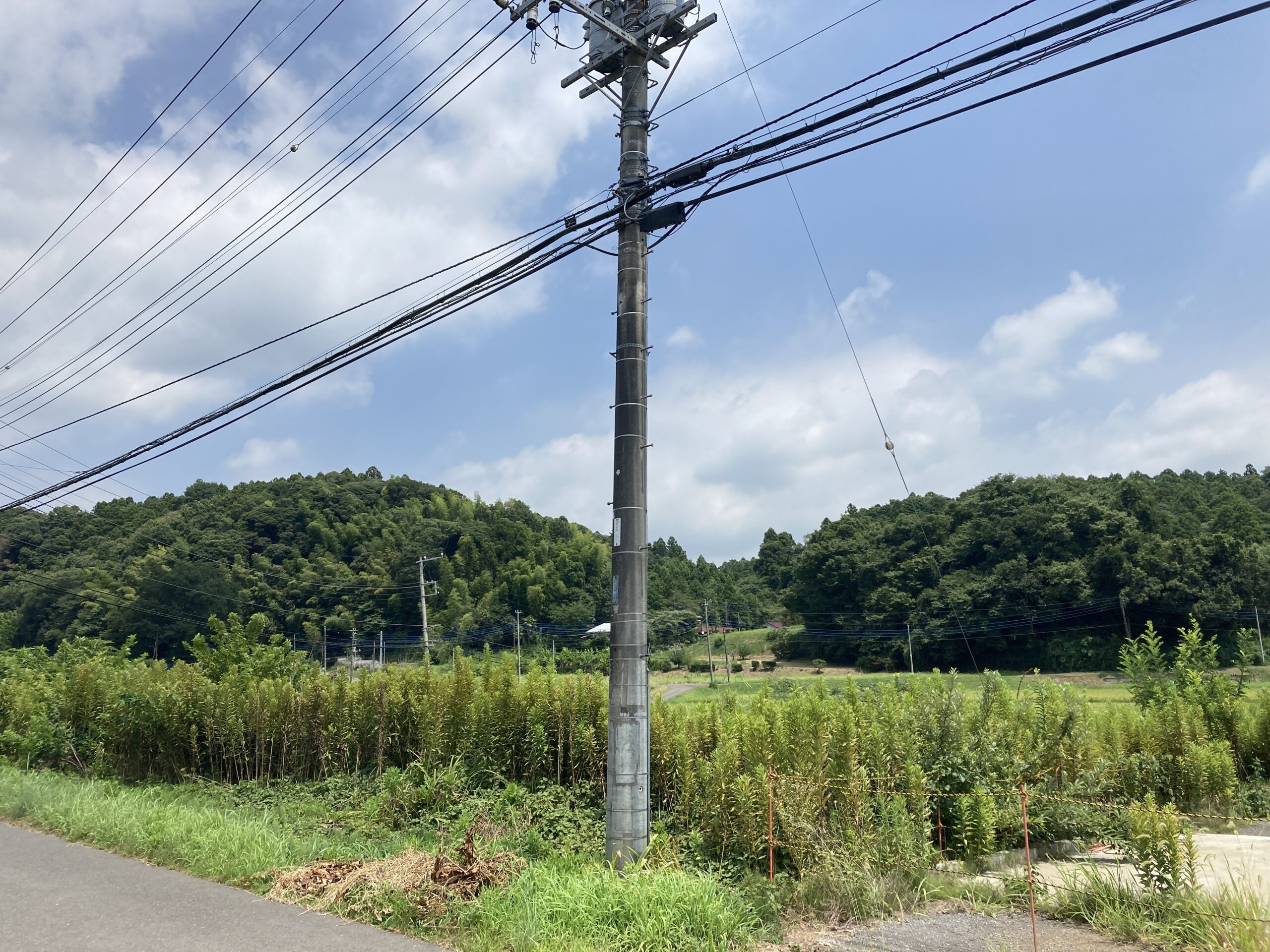 千葉県旭市の土地取引事例と農地・山林・原野・雑種地の価格相場と売却相談の流れを解説