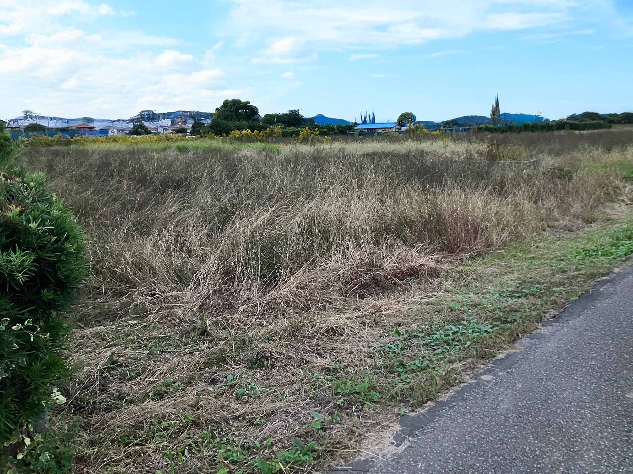 千葉県山武郡芝山町の土地取引事例と農地・山林・原野・雑種地の価格相場と売却相談の流れを解説