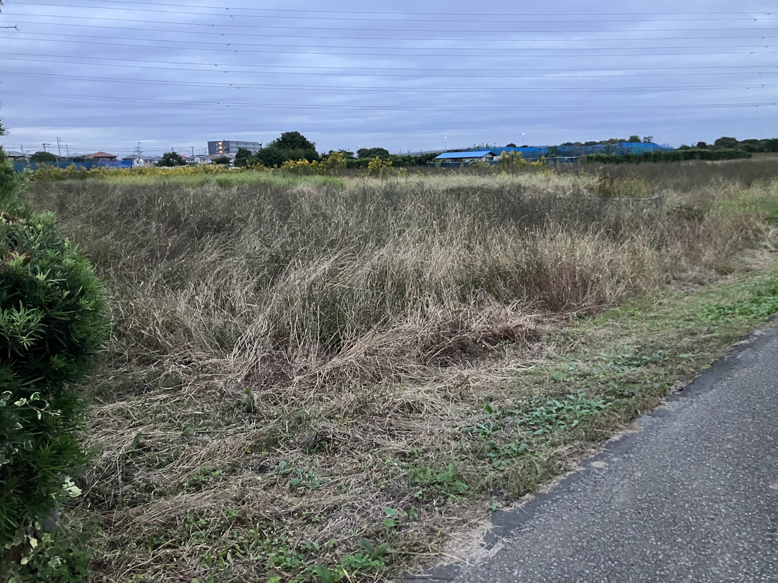 匝瑳市の土地