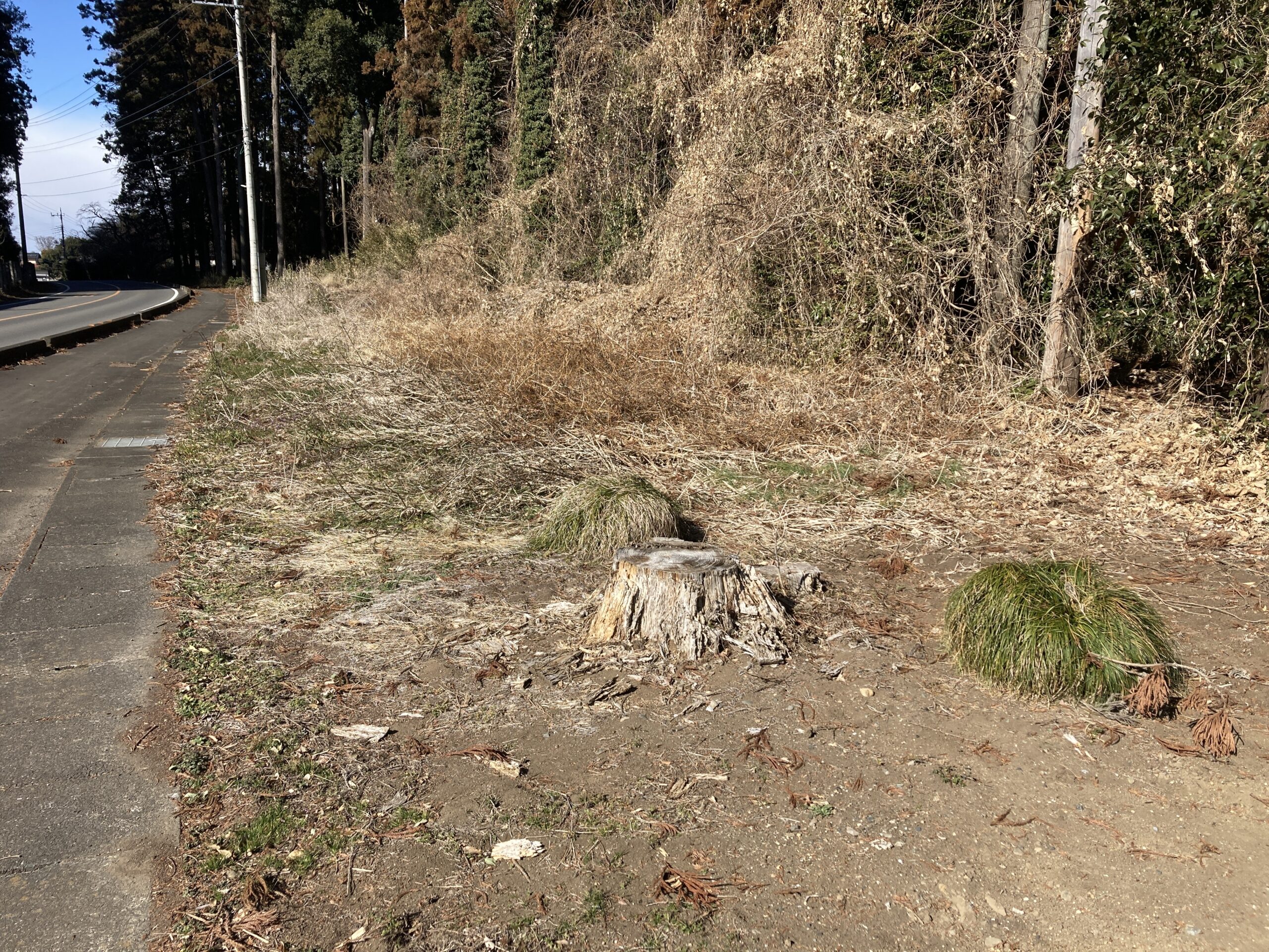 壬生町の土地
