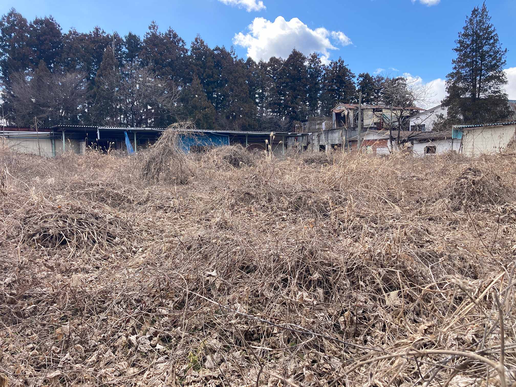 栃木県日光市の土地取引事例と農地・山林・原野・雑種地の価格相場と売却相談の流れを解説