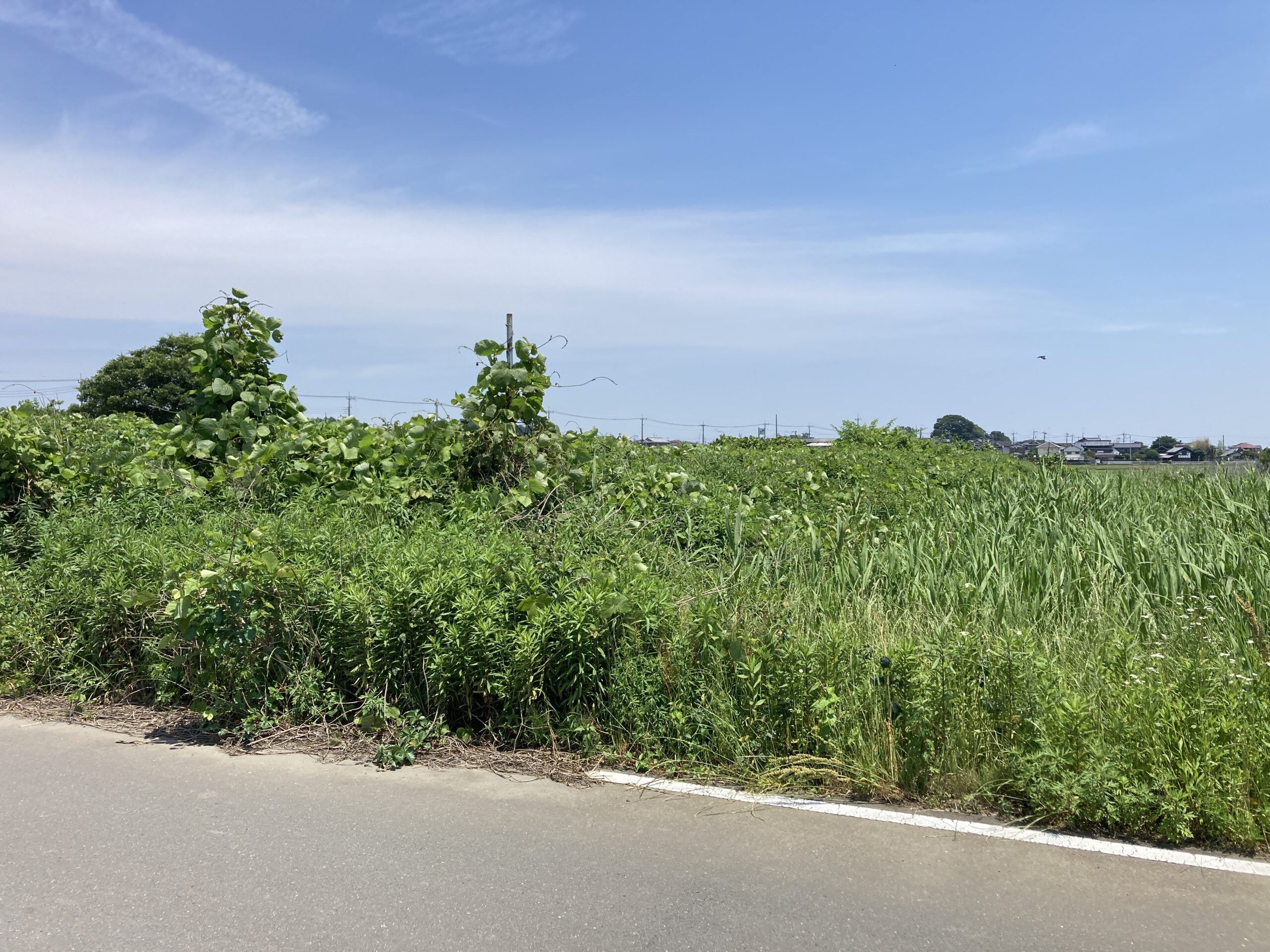 壬生町の土地