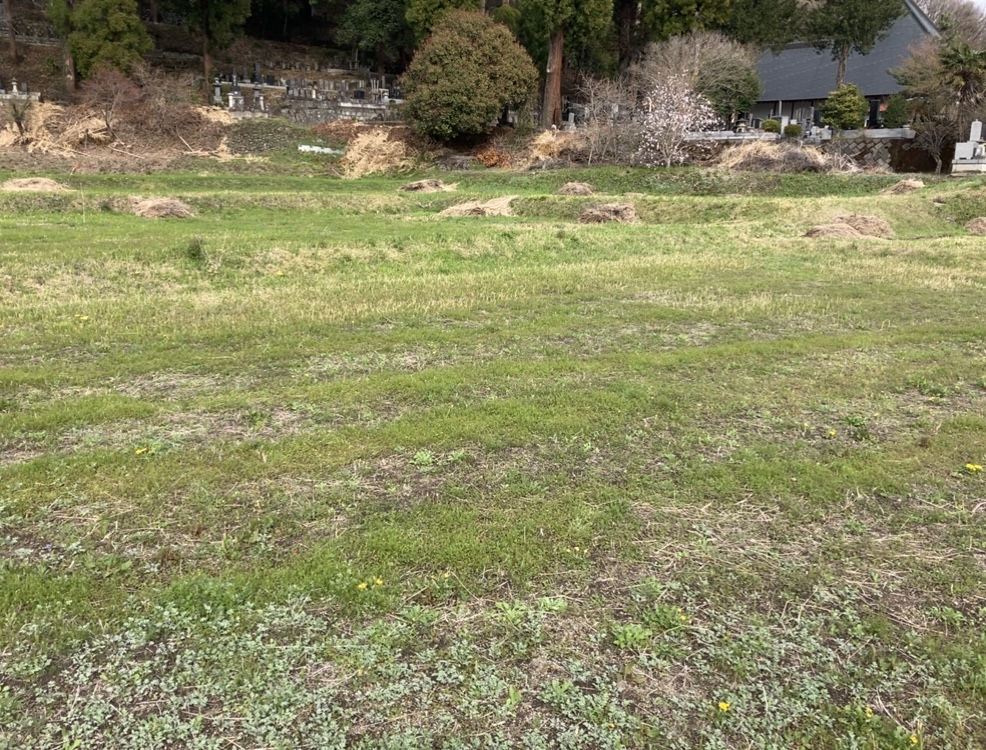 群馬県安中市の土地取引事例と農地・山林・原野・雑種地の価格相場と売却相談の流れを解説
