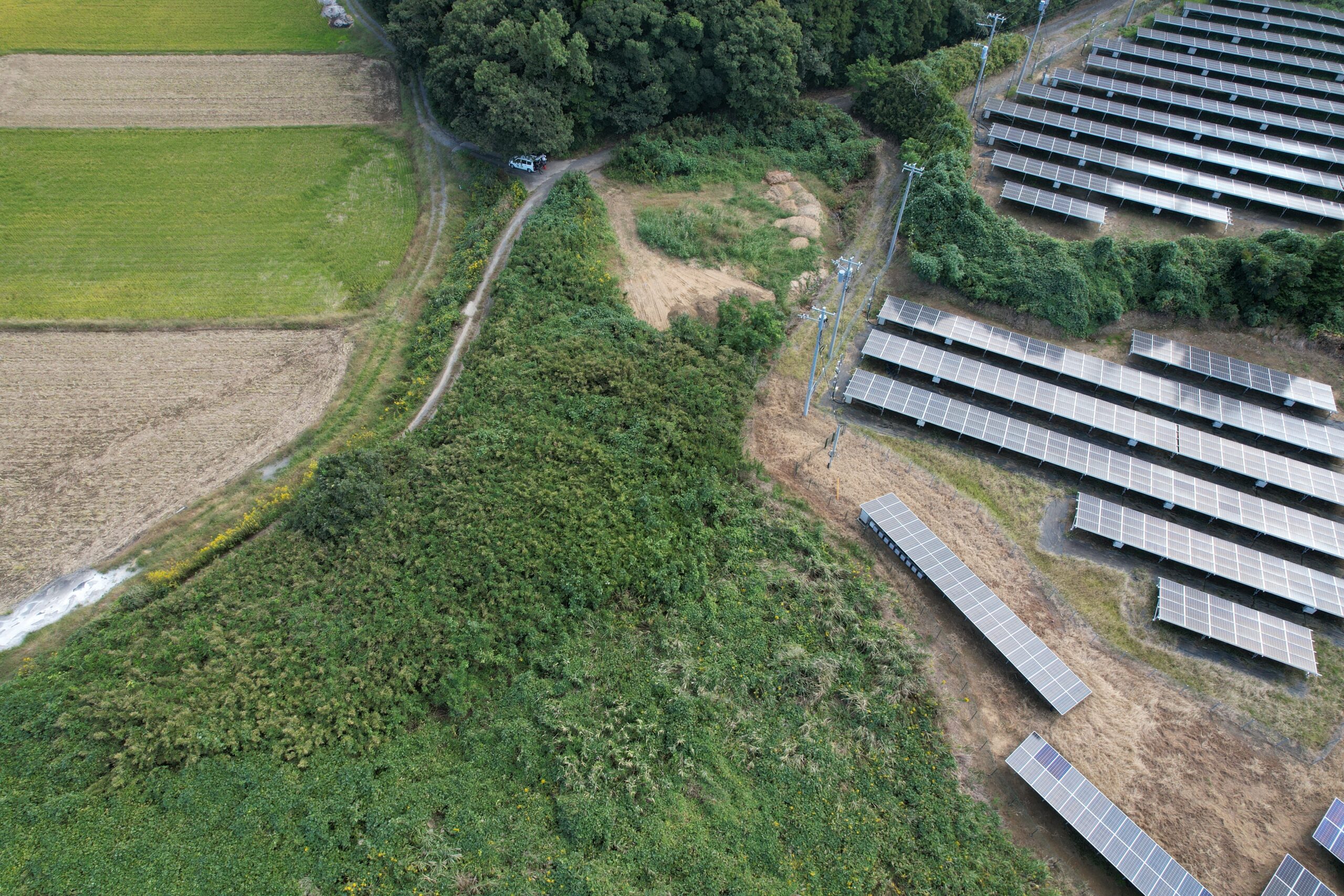 Looopの太陽光発電の評判は？初期費用0円・最長30年保証と地主向け用地募集の実態