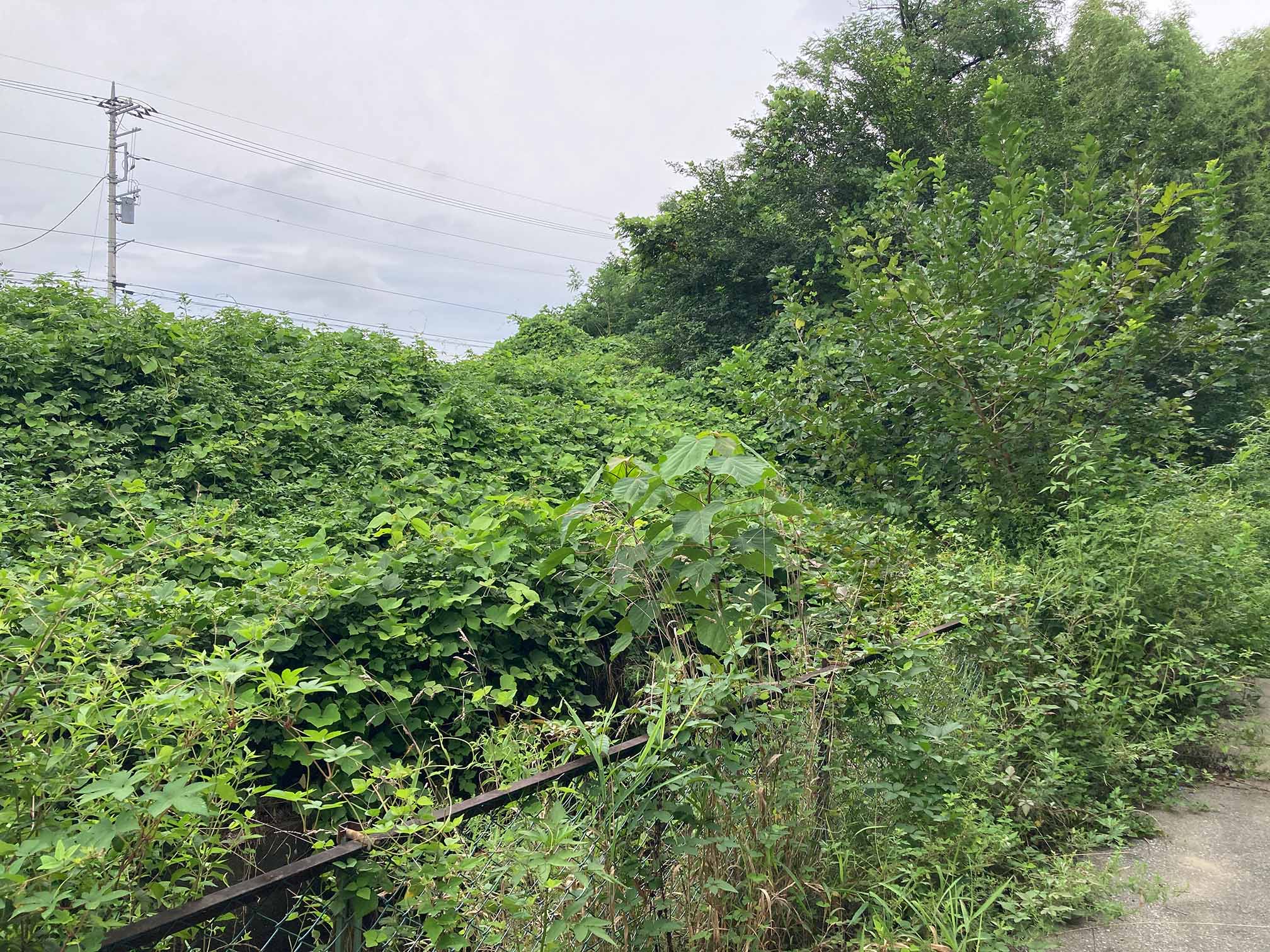 那須塩原市の土地