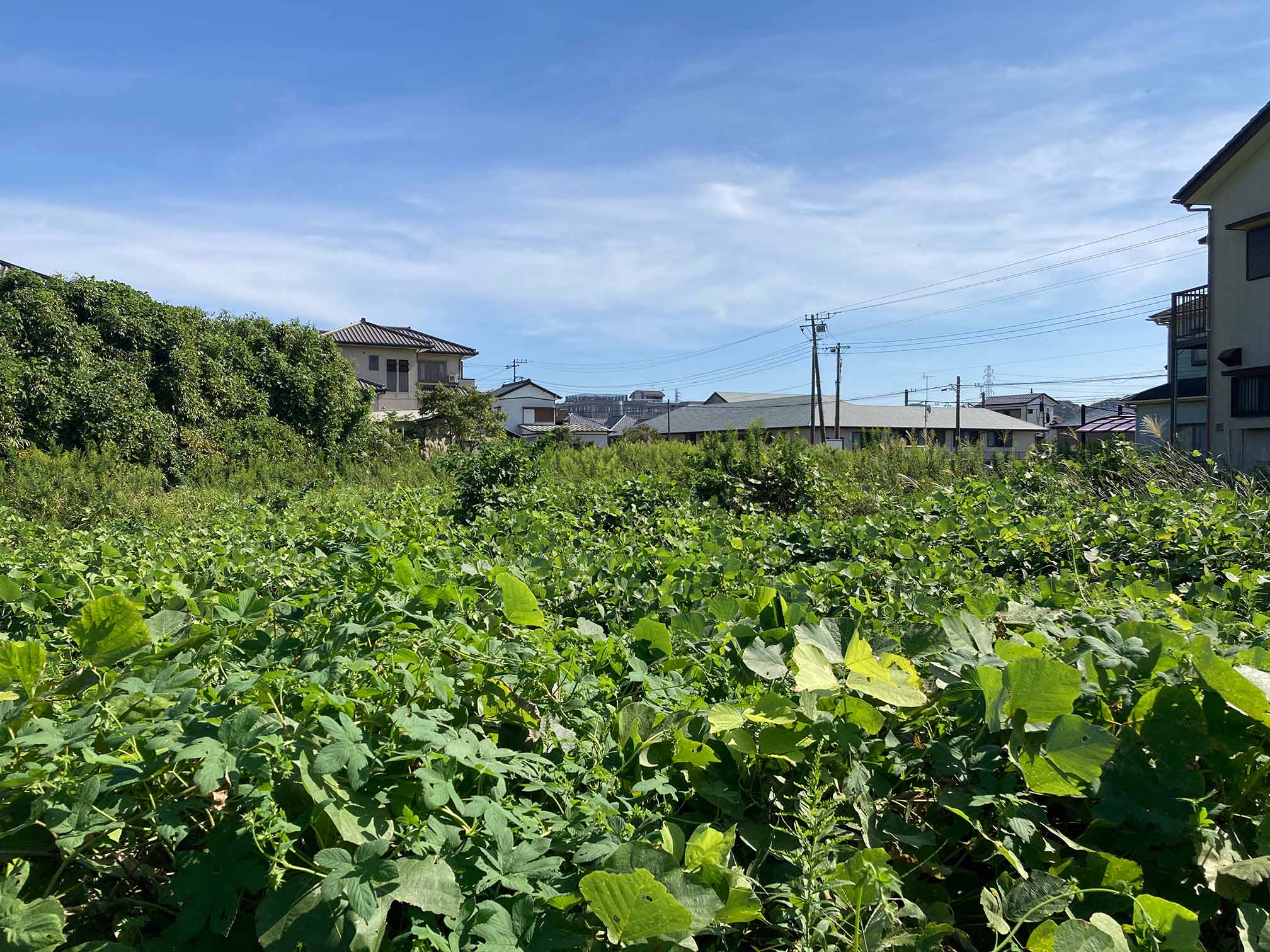 四街道市の土地