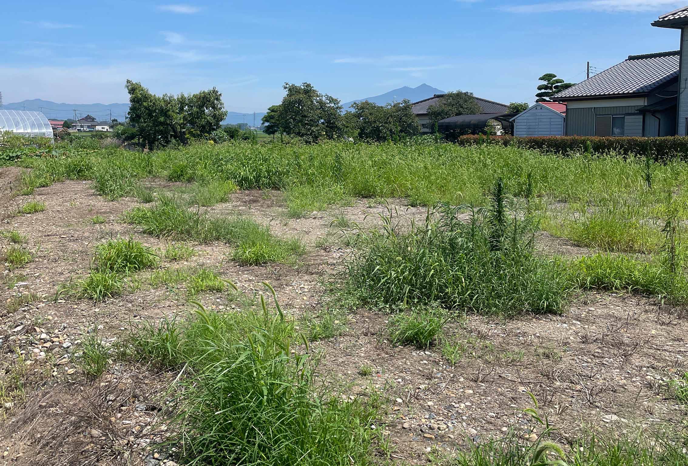 ひたちなか市の土地