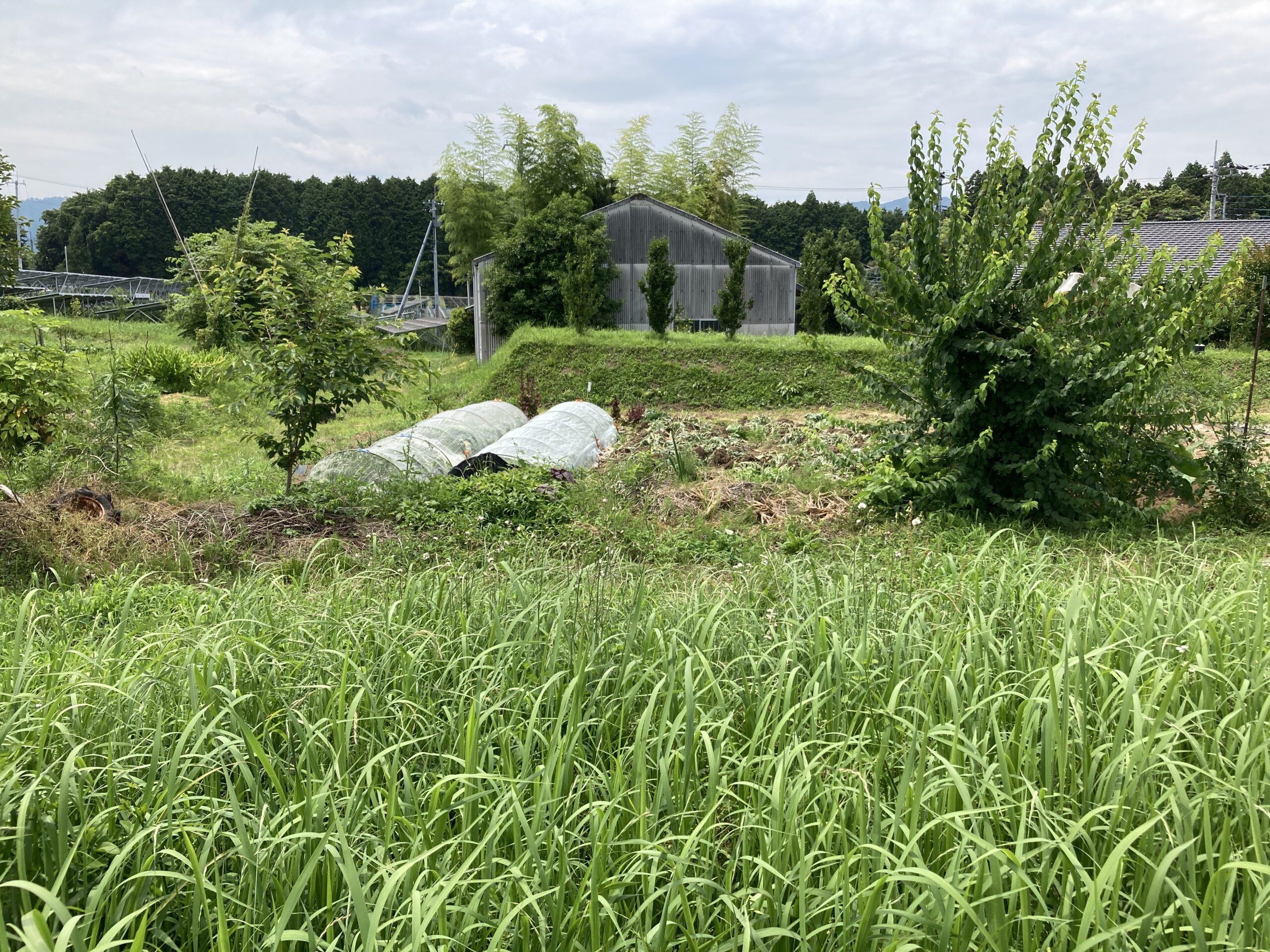 最新版】茨城県日立市の土地取引事例と農地・山林・原野・雑種地の価格 