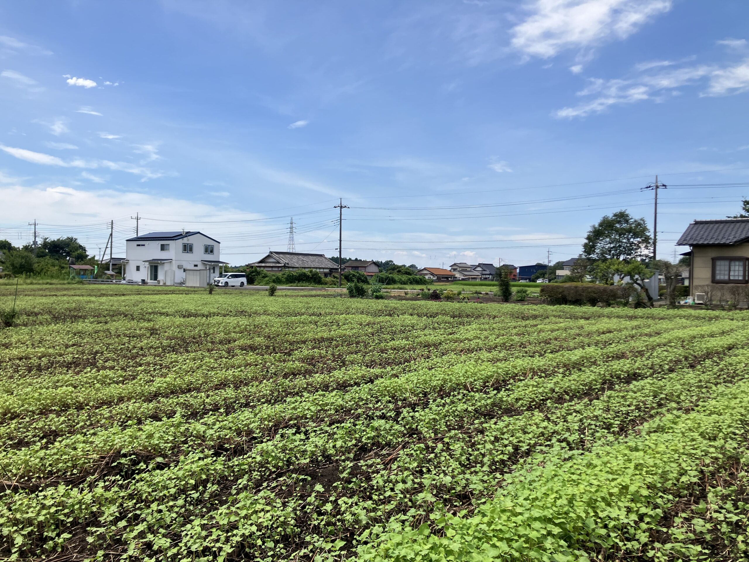 畑を相続したけど農業しない場合は？売却・転用・太陽光発電など活用法を徹底解説