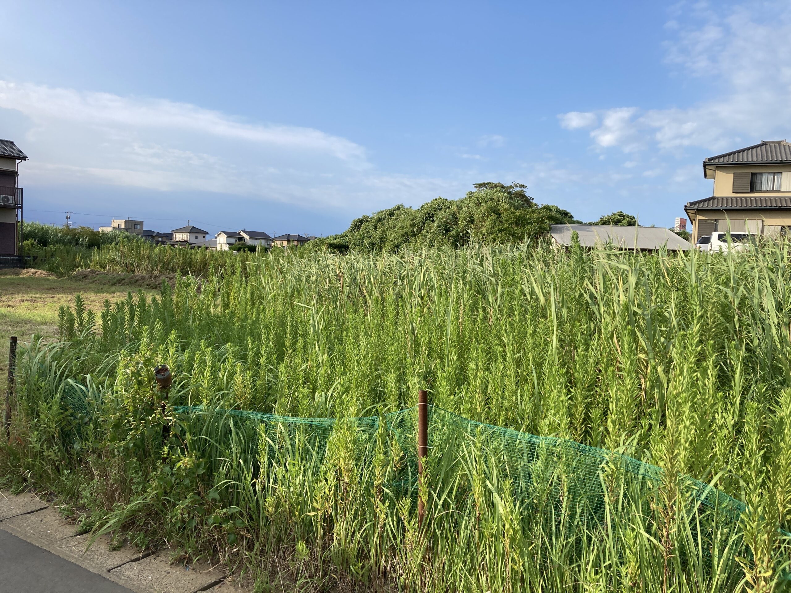 南房総市の土地