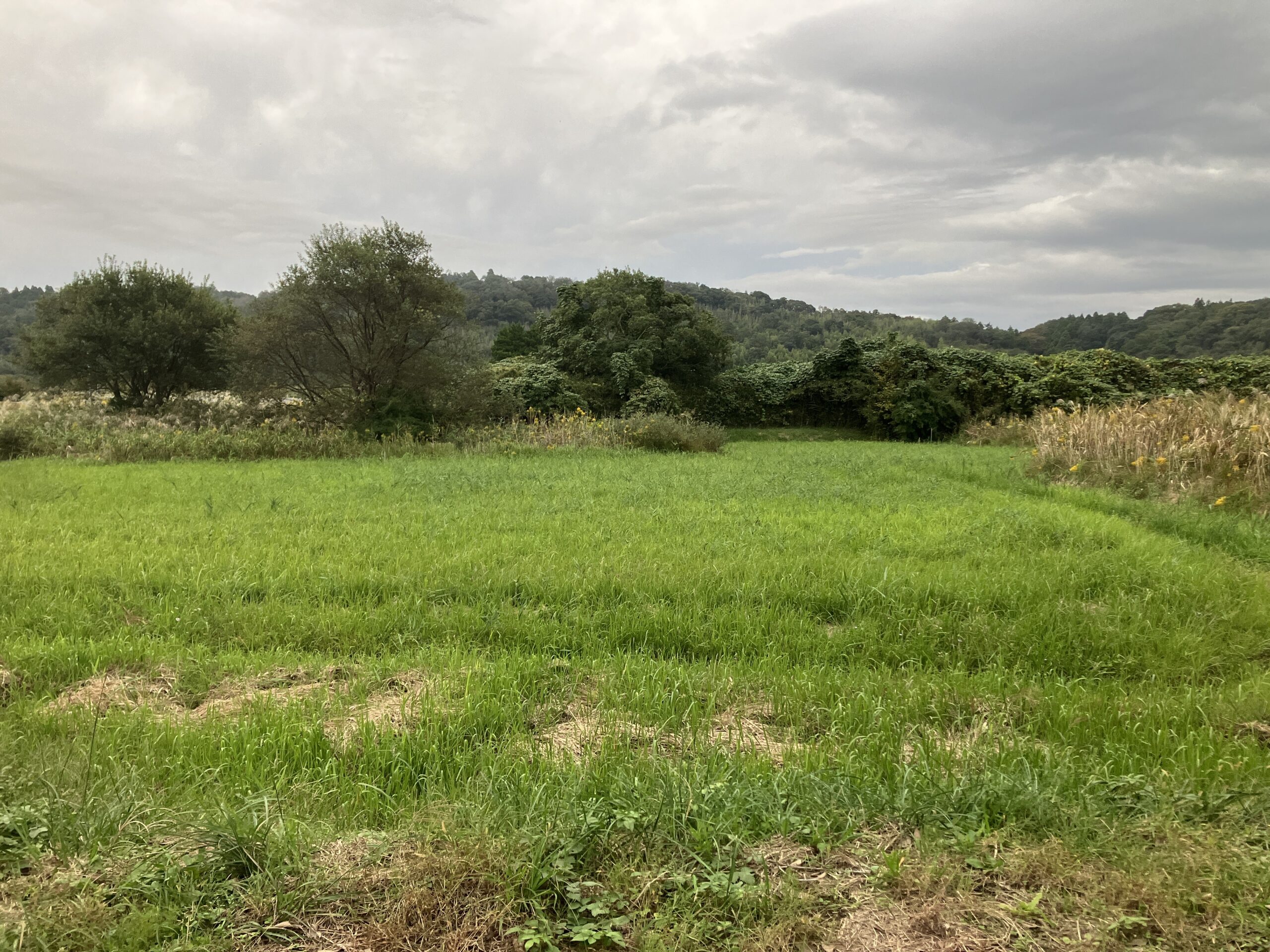 南房総市の土地