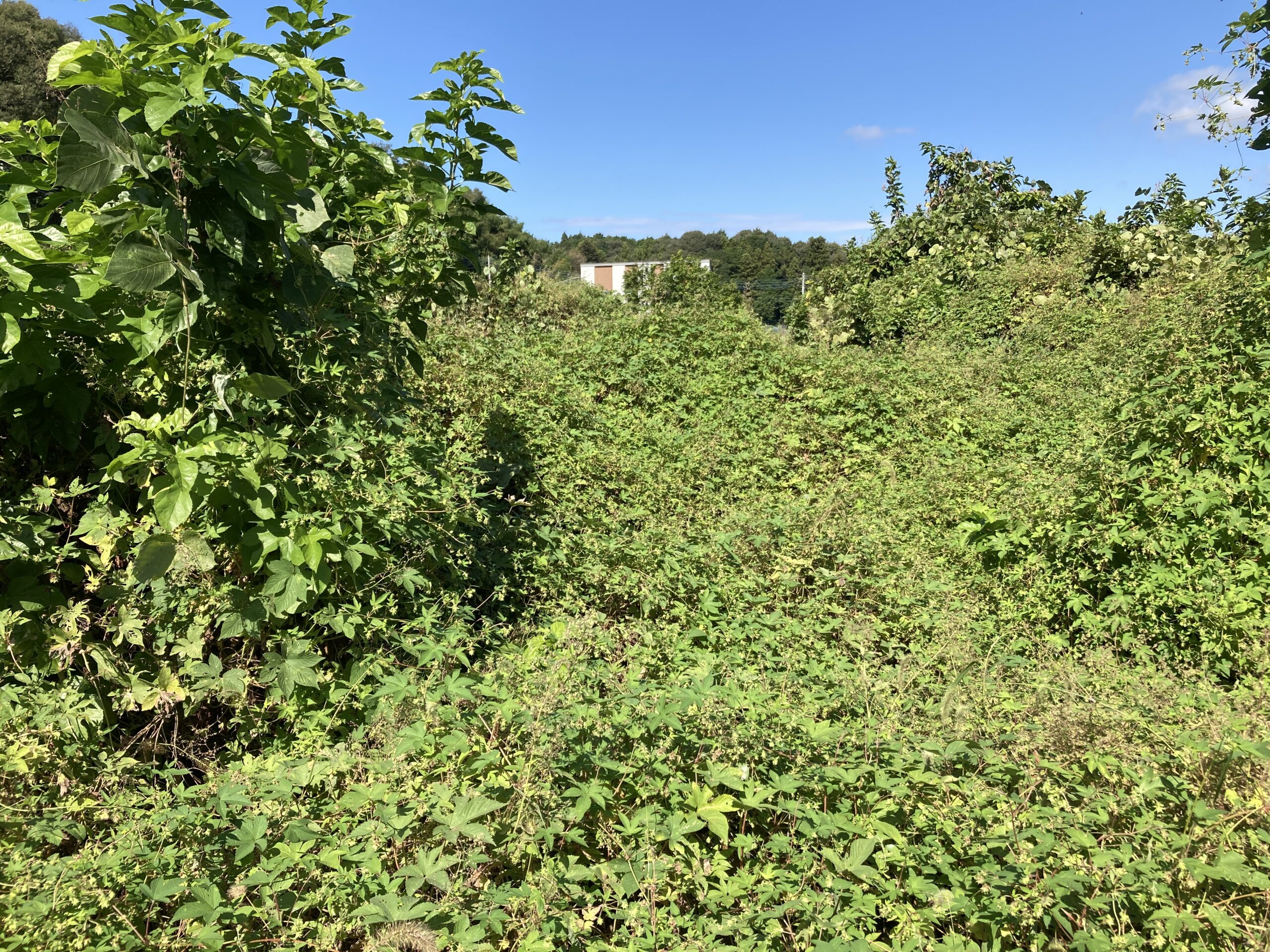 那珂川町の土地