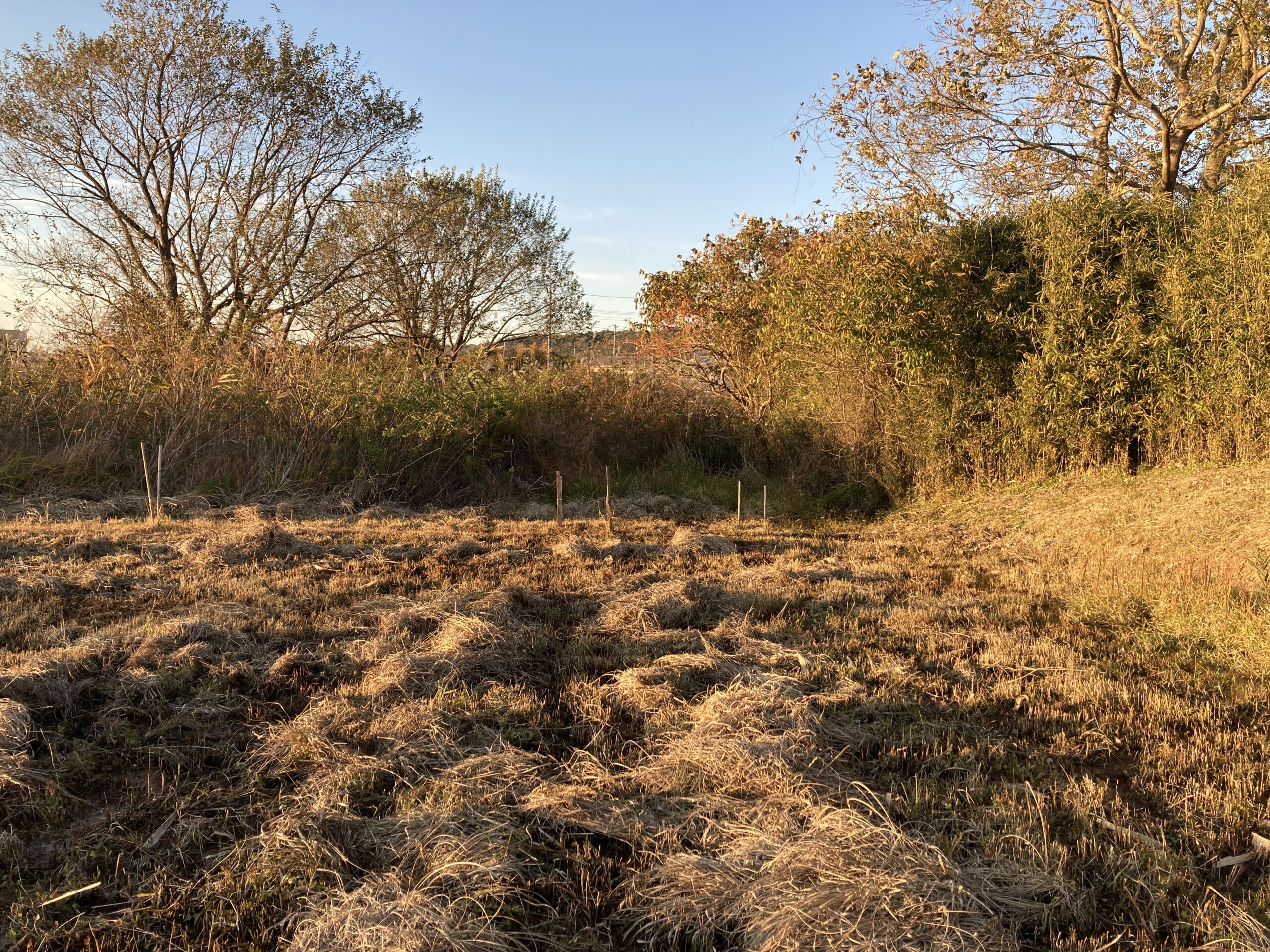 千葉県鴨川市の土地取引事例と農地・山林・原野・雑種地の価格相場と売却相談の流れを解説