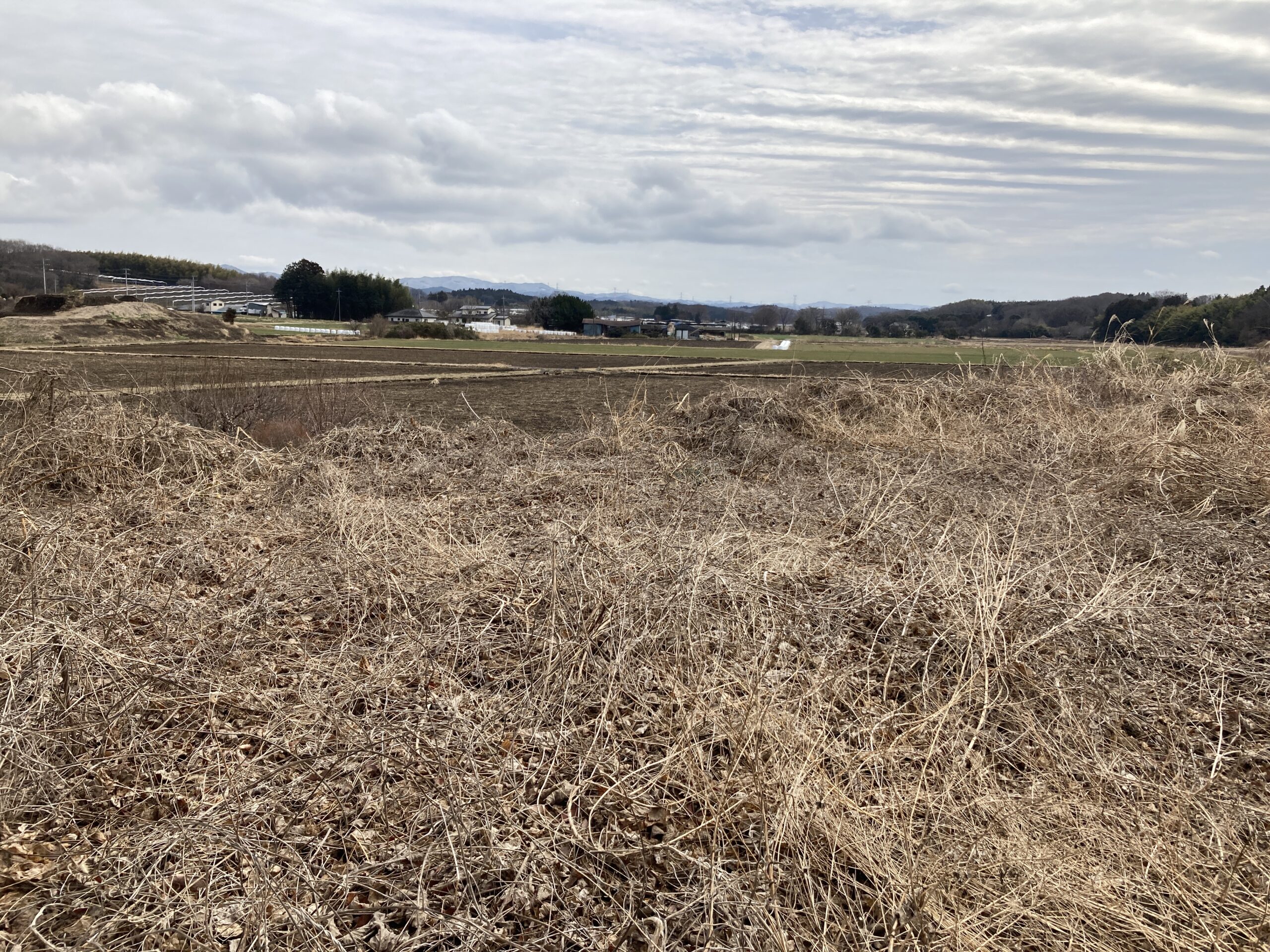 那珂川町の土地