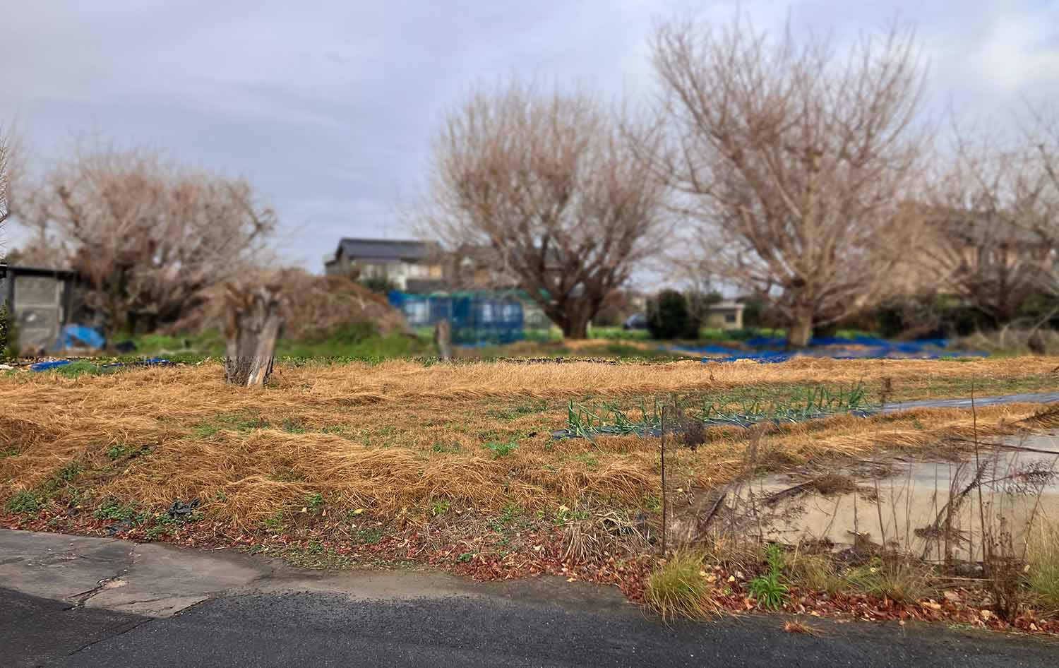 北設楽郡豊根村周辺の土地