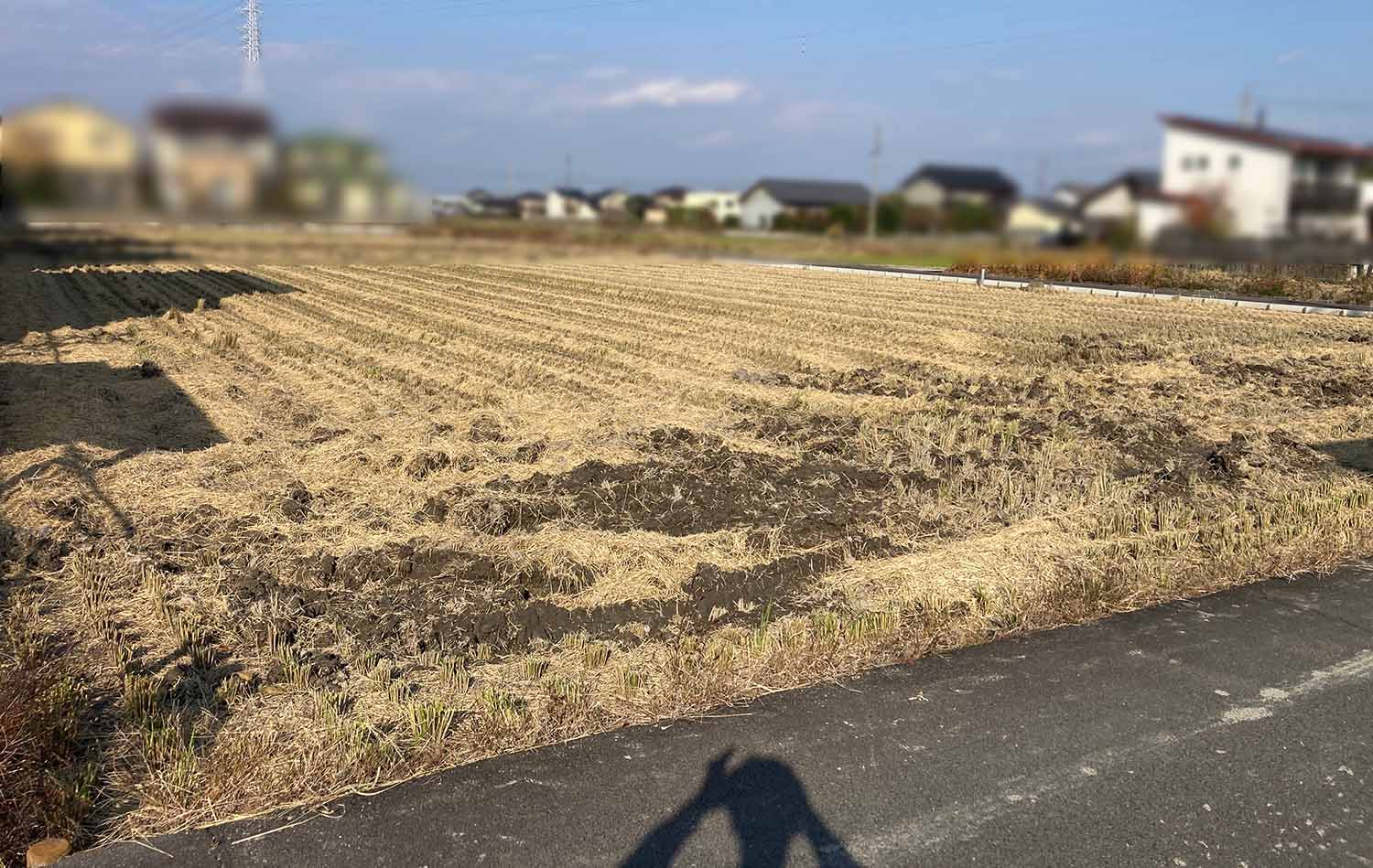 愛知県の土地