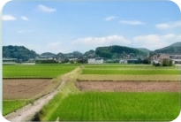 市街化調整区域