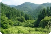 山林・原野